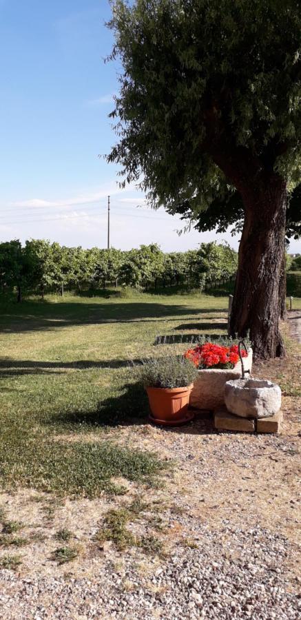 Agriturismo Vitae Fabbrico Exterior photo